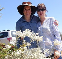 Spring Wildflower Private Day Tours - Kawana Tourism