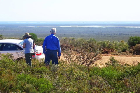 Spring Wildflower (Private) Day Tours - Kawana Tourism 3