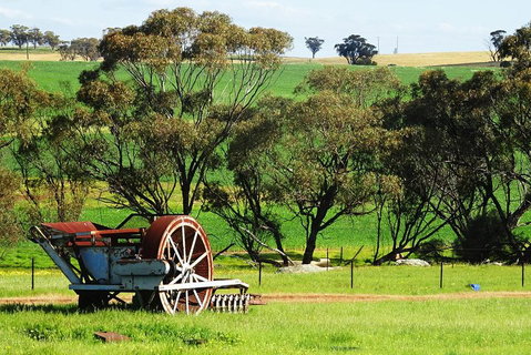 Spring Wildflower (Private) Day Tours - Kawana Tourism 4