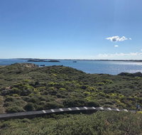 Penguin Island And Fremantle - Canoe Chocolate  Coffee - Kawana Tourism