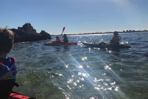 Penguin Island And Fremantle - Canoe, Chocolate & Coffee - Kawana Tourism 1