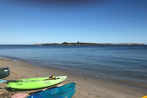 Penguin Island And Fremantle - Canoe, Chocolate & Coffee - Kawana Tourism 2