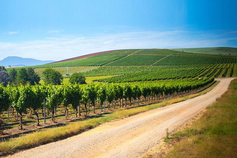 Full Day Tamar Valley Wine Tour - Kawana Tourism 1