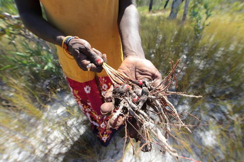 Gay-Wu Woman's 5 Day Yolngu Homeland Tour - Kawana Tourism 0