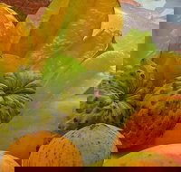 Private Half Day Tour Exclusive World Heritage Rainforest and Waterfall Tour from Cairns - Kawana Tourism