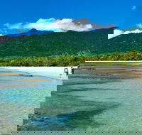 5-Day Best of Cairns with Daintree Kuranda and Great Barrier Reef - Kawana Tourism