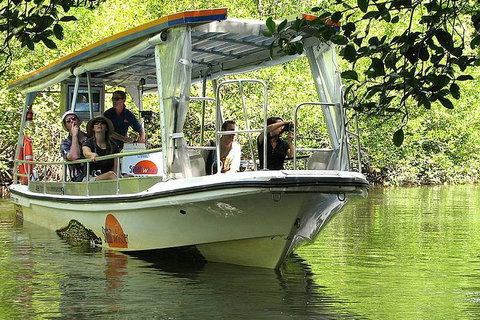 5-Day Best Of Cairns With Daintree, Kuranda, And Great Barrier Reef - Kawana Tourism 1