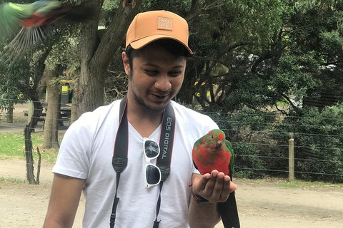 Full-Day Great Ocean Road Small-Group Tour From Melbourne - Kawana Tourism 0