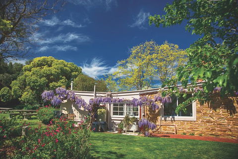 McLaren Vale Winery Small Group Tour With Wine Tasting And Lunch - Kawana Tourism 2