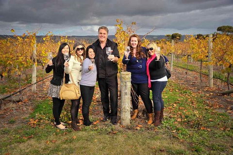 McLaren Vale Winery Small Group Tour With Wine Tasting And Lunch - Kawana Tourism 3