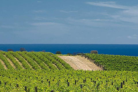 McLaren Vale Winery Small Group Tour With Wine Tasting And Lunch - Kawana Tourism 4