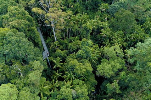 Natural Bridge, Skywalk And Mt Tamborine Adventure! - Kawana Tourism 2