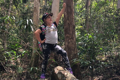 Natural Bridge, Skywalk And Mt Tamborine Adventure! - Kawana Tourism 3