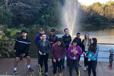 Natural Bridge, Skywalk And Mt Tamborine Adventure! - Kawana Tourism 4