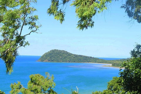Full Day Tour In The Daintree - Kawana Tourism 1
