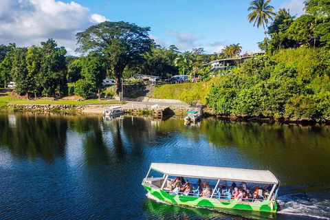 Full Day Tour In The Daintree - Kawana Tourism 2