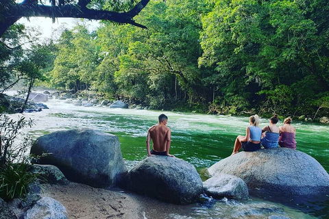 Full Day Tour In The Daintree - Kawana Tourism 3