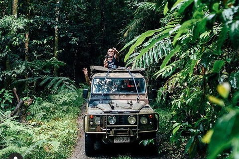 Full Day Tour In The Daintree - Kawana Tourism 4