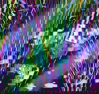 Infinity Attraction - Admission - Kawana Tourism