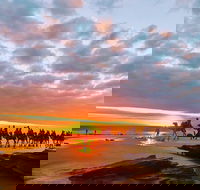 1 Hour Broome Sunset Camel Tour - Kawana Tourism
