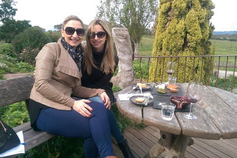 McLaren Vale Intimate Winery Tour By Private Limo - Kawana Tourism 4