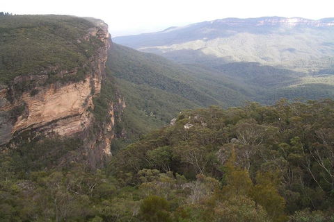 Full-Day Private Blue Mountains Tour With River Cruise - Kawana Tourism 3