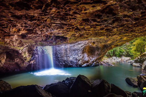 Full-day Springbrook National Park Tour From The Gold Coast - Kawana Tourism 3