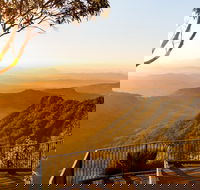 O'Reilly's  Lamington National Park incl. Alpaca Farm  Vineyard - Kawana Tourism