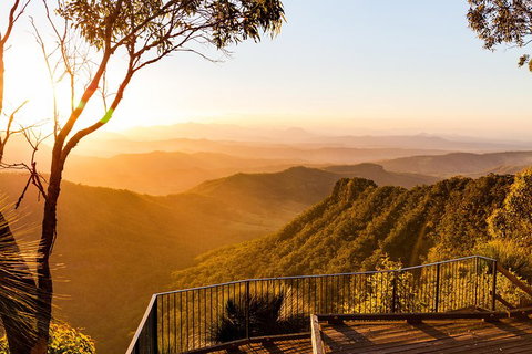 O'Reilly's & Lamington National Park Incl. Alpaca Farm + Vineyard - Kawana Tourism 0