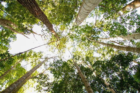 Fraser Island 4WD Tour From Noosa - Kawana Tourism 0