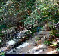 Fraser Island 4WD Tour from Rainbow Beach - Kawana Tourism