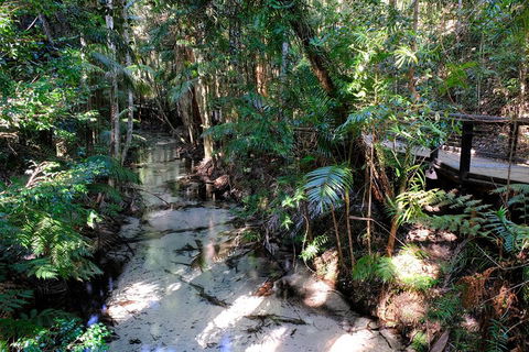 Fraser Island 4WD Tour From Rainbow Beach - Kawana Tourism 0