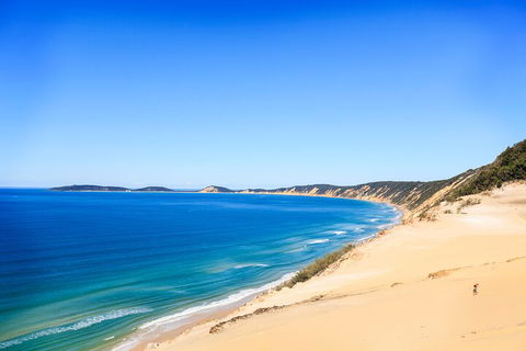 Kayak With Dolphins And 4WD Great Beach Drive Day Trip From Noosa - Kawana Tourism 0