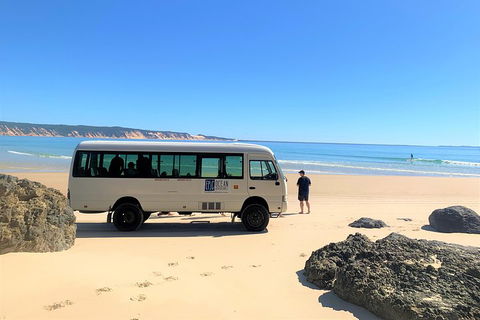 Kayak With Dolphins And 4WD Great Beach Drive Day Trip From Noosa - Kawana Tourism 4