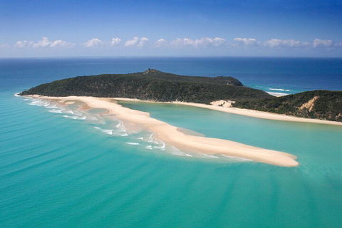 Kayak With Dolphins And 4WD Great Beach Drive Day Trip From Noosa - Kawana Tourism 5