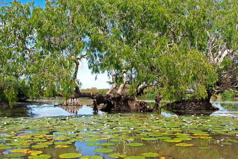 Ethical Adventures - Best In The WET - Litchfield / Kakadu 3 Day- Max 10 Guests - Kawana Tourism 1