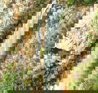 Private Tour - Rainforest  Waterfalls Extravaganza - Kawana Tourism