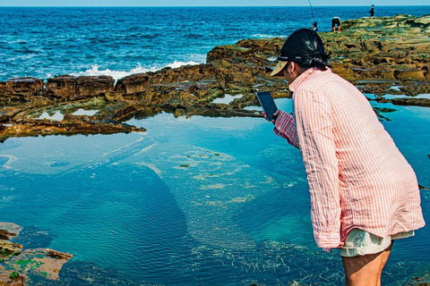 Sydney Private Tour Featuring Wilderness, Wildlife, Waves, Waterfalls And Wine - Kawana Tourism 1