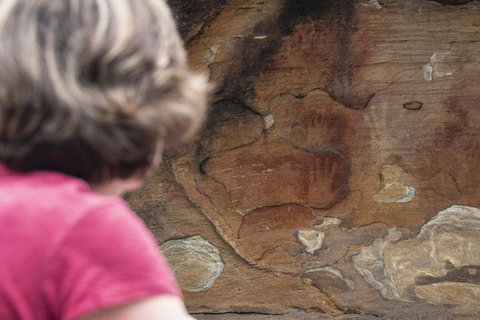 Sydney Private Tour Featuring Wilderness, Wildlife, Waves, Waterfalls And Wine - Kawana Tourism 2