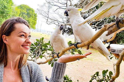 Sydney Private Tour Featuring Wilderness, Wildlife, Waves, Waterfalls And Wine - Kawana Tourism 4