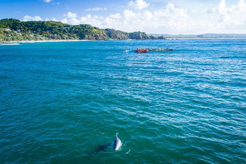 The Byron Bay Sea Kayak Tour - Kawana Tourism 2
