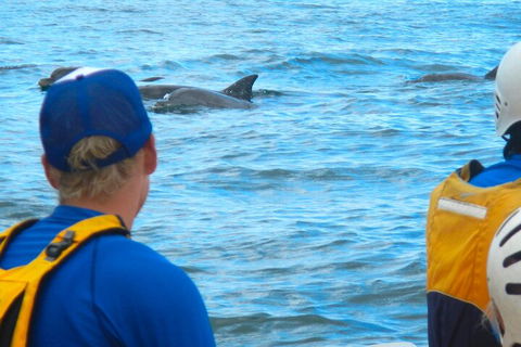 The Byron Bay Sea Kayak Tour - Kawana Tourism 4