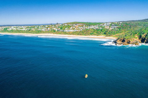 2-Hour Guided Whale Watching Tour At Noosa - Kawana Tourism 4