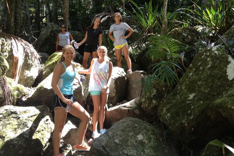 Byron Bay Combo: Hinterland Tour Including Minyon Falls And Kayaking With Dolphins - Kawana Tourism 4