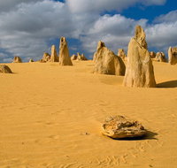 The Pinnacles Sea and Dunescapes Bush Reserve and Sunset Day Tour - Kawana Tourism