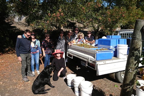 Valleys Of Vino Tour - Kawana Tourism 1