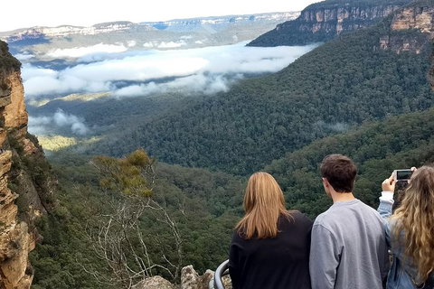 Blue Mountains Private Tour - Wild Kangaroos, Waterfalls And The Three Sisters - Kawana Tourism 3