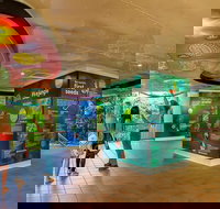 Skyrail  Kuranda Train Day Trip from Cairns - Kawana Tourism