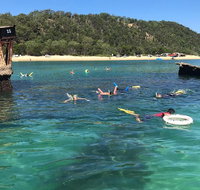 All Inclusive Dolphin and Tangalooma Wrecks Cruise - Kawana Tourism
