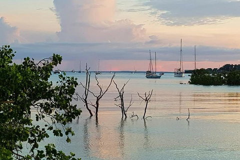 Tropical Light Sundowner Cruise With Drinks Included - Kawana Tourism 2